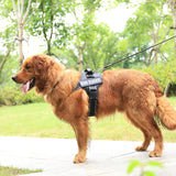 Custom Fit Pet Harnesses